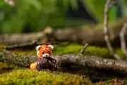 Micro crochet miniature Handcrafted Red Panda Amigurumi dollhouse mini animals