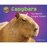 CAPYBARA: THE WORLD’S LARGEST RODENT