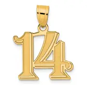 14k Yellow Gold Polished Etched Number 14 Pendant