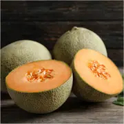 Rockmelon - Infinite Gold F1 seeds