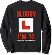 [X.Style] Learner Driver 17th Birthday Im 17 Today Driving Lessons Sweatshirt ds1236 Sweater (2XL) Black