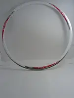 ☆宸宸小站☆ALEXRIMS PRO 28 白色 28孔 公路車輪框 輕量化 輪圈(KINLIN DT MAVIC)