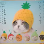貓咪專屬頭巾 P8 水果篇2 扭蛋 轉蛋 貓咪頭巾 零售區可挑款