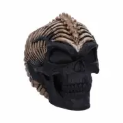 Spine Head Skull 18.5cm Officially Licensed James Ryman Spine Head Skull. Great.