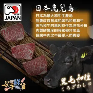 【一手鮮貨】日本鹿兒島頂級A5和牛燒肉(3盒組/牛肉片/火鍋肉片/烤肉片)