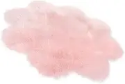 Gatuida Cm Long Plush Carpet Plum Blossom Floor Mat Imitation Wool Home Decor Pink Foot Pad for Household