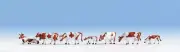 15723 Noch Ho 7 Cows White/Brown Scale 1:87