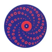 Phish donuts turntable slipmat - protects your vinyl records