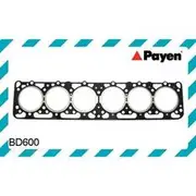 Payen Head Gasket Set - BD600