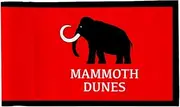 2BUT Mammoth Dunes Wisconsin Sand Valley Golf Pin PGA Flag Practic Putting Green Golf Flag For Backyard Garden Double-Sewn 600D Nylon Miniature Pin Flag Regulation Tube Flag(20"X13")