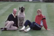 Swedish tennis player Stefan Edberg pictured sitting with his ten - Old Photo