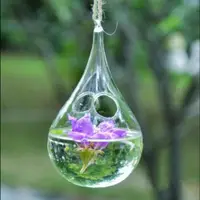 在飛比找松果購物優惠-垂吊玻璃花瓶懸掛花器花盆多肉植物花盆容器zakka花卉仿真飾