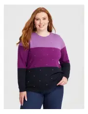 [Taking Shape] Colour Block Crew Neck Jumper in Multi