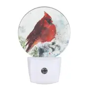 Watercolor Cardinal Night Light Winter Snow Red Bird on Branch Night Lights P...