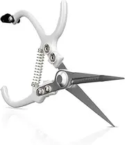 LOOPSEED Plant Pruning Shears Garden Trimming Scissors Precision Hand Pruner Herb Snips Flower Clippers Bonsai Trimmers Straight Sharp Blade Tapered Tip Ergonomic Handle Modern Garden Tools