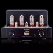 Willsenton R200 32W+32W Vacuum Tube Amplifier Bluetooth Vacuum Tube Amp (Black)