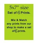 Wall Art 5x7" size prints, mix and match any prints to make set of 6.