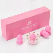 Makeup Sponge, Luxury 4 Pcs Beauty Blender Set, Foundation Blending Sponge...