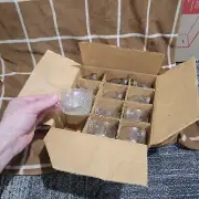 SET of 12 VTG Jeannette/Libby Clear Glass Fruit Pattern Punch Cups ORIGINAL BOX