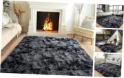 Super Fluffy Area Rug for Living Room 5x7 Feet, Modern Indoor Shaggy Carpet,