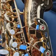 Professional Performance High-quality 54 Alto Saxophone Instruments