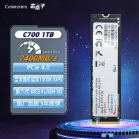 在飛比找Yahoo奇摩拍賣-7-11運費0元優惠優惠-芯點子 C700 1T PCIe4.0 M.2筆記電腦本桌機