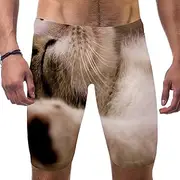 [VBFOFBV] Men's Printed Jammer Swimsuit Swim Shorts, Animal Leopard Print Vintage Modern
