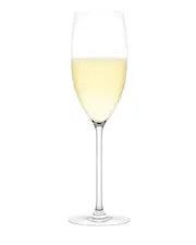 Plumm Outdoors Sparkling Unbreakable Polycarbonate Wine Glass Set - 4 Pack