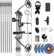 PANDARUS Compound Bow Set 10-40lbs for Pull Child Right Hand Lightweight Design Bow Adjustable 16"~28" Draw Length IBO 290fps New 2023 Professional Set