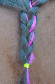 Colorful Mane & Tail Clip In's - color hair extensions for horses and ponies