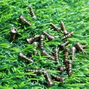 M/S Zwan Impex manufactured Cortical Screw 4 & 4.5*12,14,16,18mm Tit self-taping
