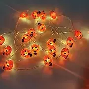 JANWAALY Ladybird Fairy Battery Operated 9.8Ft 30 LED Ladybug String Lights Silver Wire for Bedroom, Valentine's Day Decorative, Christmas (Red)