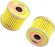 Motorcycle Engine Oil Filter For 125 Exceed GA125 GF125 GT125 GV125 RT125 Karion RX125 XRX125 GT250 Comet GV250 Aquila(2PCS)
