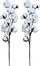 Dry Cotton Bouquet - Natural Cotton Stem Decoration, Rustic Floral Arrangement | Vintage Table Decor, Cotton Centerpieces for Weddings, Cotton Bouquets, Cotton Flowers Bouquets,