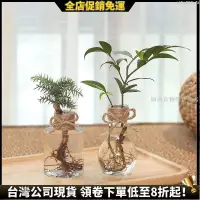 在飛比找蝦皮購物優惠-【桃園出貨免運】 復古麻繩水培花盆 黃金葛水耕瓶 /綠蘿水耕