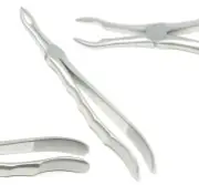 Premium Root Tip Dental Extracting Forceps # 845 Serrated Orthodontic Tool