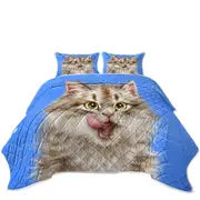 Cats Cute and Funny Art Hungry Furry Kitten Coverlet