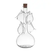 5pc Davis & Waddell Fine Foods Port Flask/Sippers Set Flask 60ml/800ml Clear