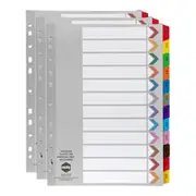 3x Marbig Financial Year Tab Coloured A4 Ring Binder Plastic Divider Organiser