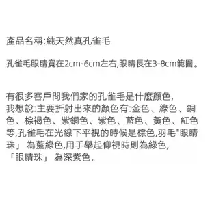 🔥全款出廠價🔥 孔雀羽毛 羽毛 孔雀毛 捕夢網 逗貓棒  DIY佈置 純天然孔雀毛 花瓶插花 孔雀毛 招財納福 客廳裝飾