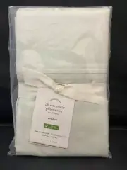 New POTTERY BARN Set 2 Essential Cotton Sateen 300 TC Standard Pillowcases Mint