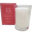 Aquiesse WINTER CURRANT Soy Wax Candle 6.5 oz, Holiday NEW
