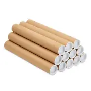 12 Pack Mailing Tubes 2x12 Inch Round Cardboard Mailers with Caps for Posters