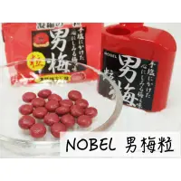 在飛比找蝦皮購物優惠-🔥現貨供應🔥日本 Nobel 諾貝爾 男梅粒 梅汁糖 男梅 