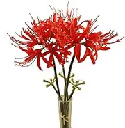 Calcifer 3 Stems Red Spider Lilies Artificial Flowers Lycoris Bulbs (Red)