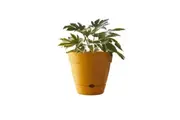 Northcote Pottery Leonard 31x27cmSelf Watering Plant Pot Garden Decor Yellow