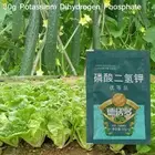 30g Potassium Dihydrogen Phosphate Leaf Surface Fertilizer Compound Fertilize WS