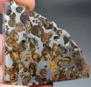 Brahin 106.35g Pallasite Meteorite, Thick Slice, Recently restored & stabilized