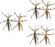 Abaodam 6 Pcs Stick Insect Model Insect Statue Sculpture Micro Landscape Animal Stick Insect Figurines Fake Stick Insect Stick Insect Figures Toy Stick Figurines Plastic