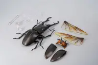 在飛比找露天拍賣優惠-現貨日本KAIYODO 海洋堂正版昆蟲動物 長頸鹿鋸鍬形蟲